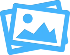 Чтобы не заблудиться в лесах: что нужно знать